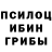 Галлюциногенные грибы GOLDEN TEACHER ALEXNAREON
