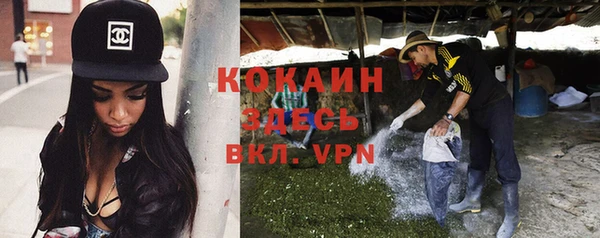шишки Арсеньев